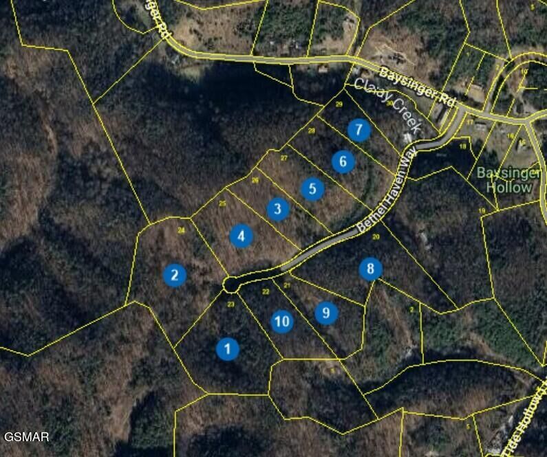 Property Photo:  Lot 20-29 Bethel Haven Way  TN 37821 