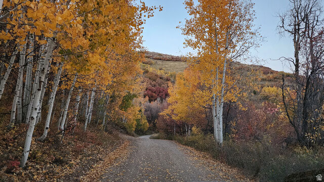 Property Photo: 156 Mountain Vw 156 UT 84055