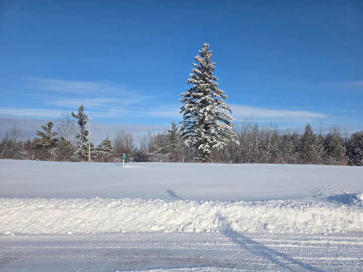 Property Photo:  Lot 16 V/L Old Orchard Lane  MI 49721 