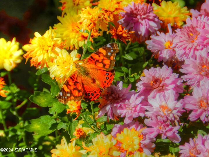 Property Photo:  240 Castle Rock Road  AZ 86351 