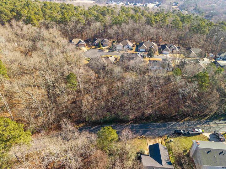 Property Photo:  Lot 117 Volcanic Drive  AR 72015 