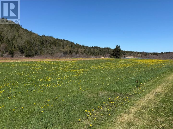 Property Photo:  38 North Side Road  NL A0A 1G0 
