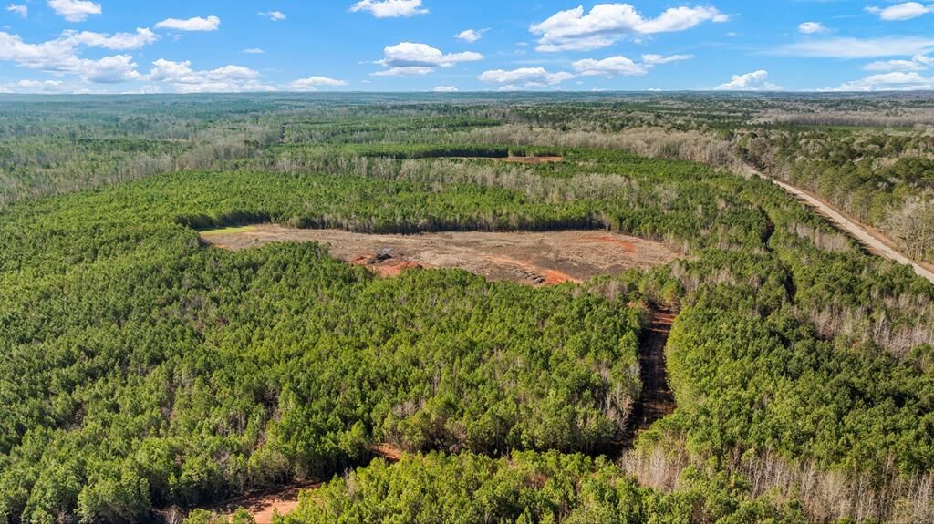 Property Photo:  C2-200 Fortune Hole Road  GA 31811 