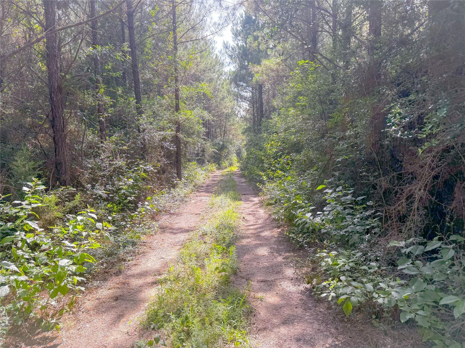 Property Photo:  0 County Road 2650  TX 77327 