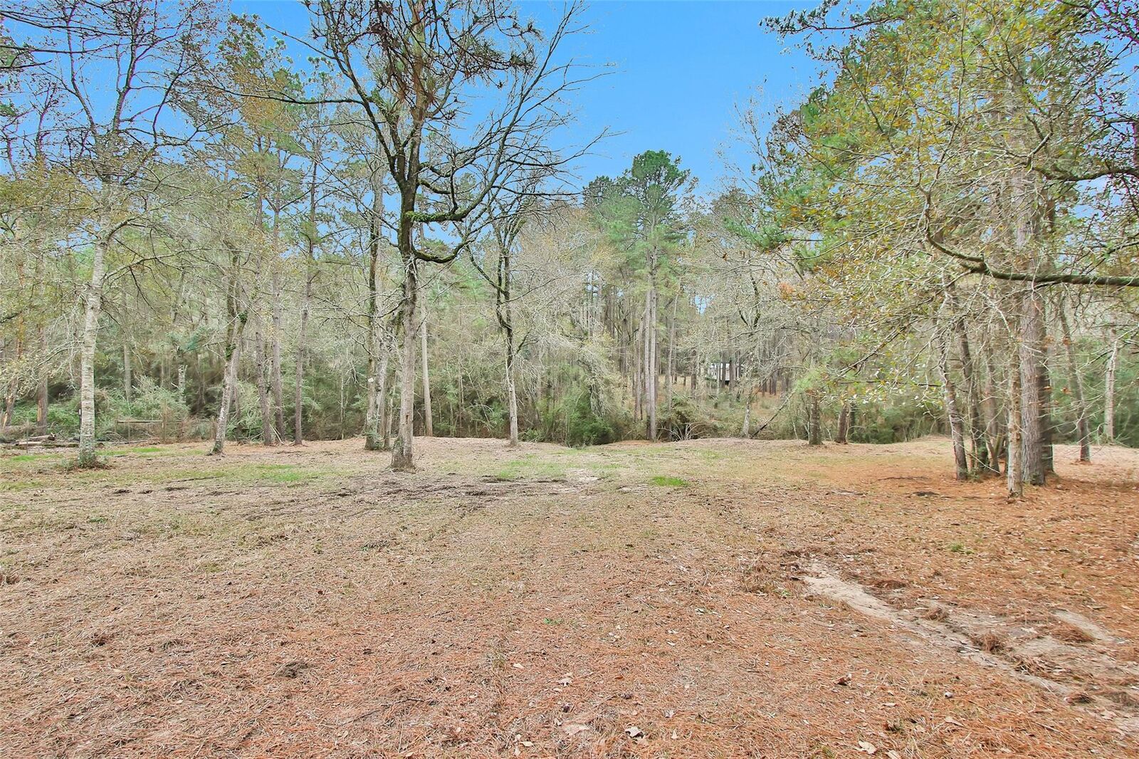 Property Photo:  Split B Tall Pine Road  TX 77868 