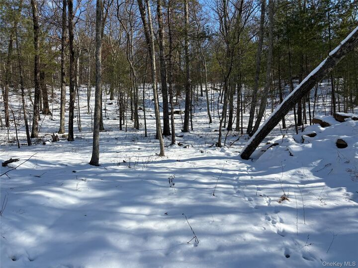 Property Photo:  Route 28A  NY 12443 