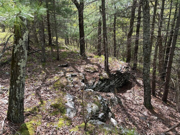 Property Photo: Route 28A NY 12443