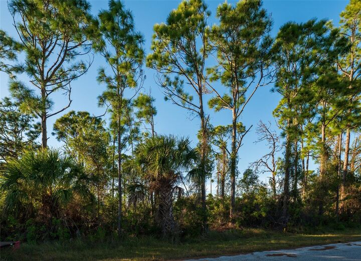 Property Photo: 8281 Dimstead St. FL 33981