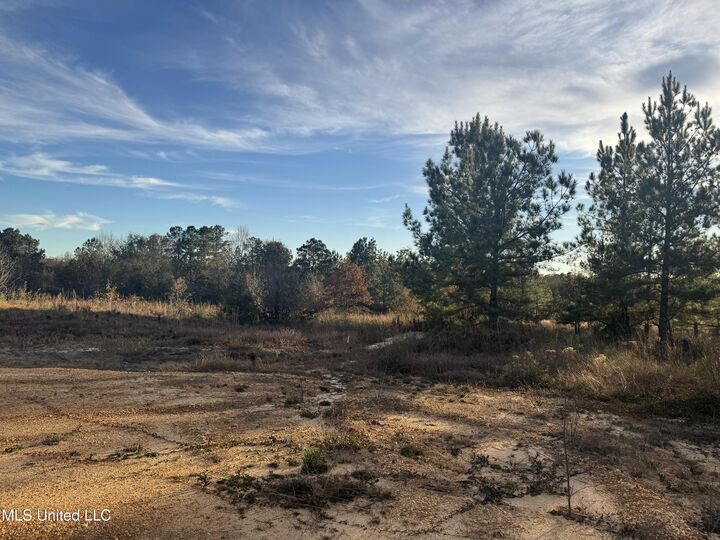 Property Photo:  15 Acres Parker Road  MS 39561 
