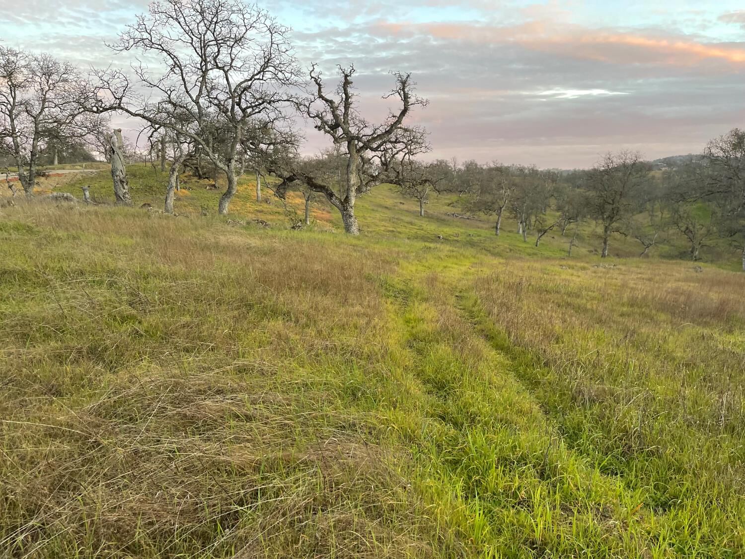 Property Photo:  0 Las Flores Court  CA 95329 