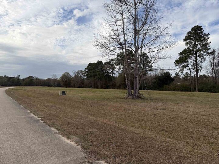 Property Photo:  Lot #18 Northbrook Dr  TX 77662 