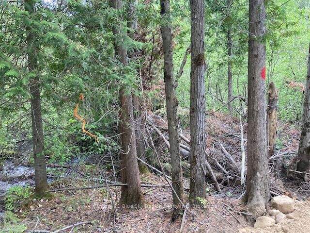 Photo de la propriété:  Lot 28 Concession 11 N/A  ON P0A 1H0 