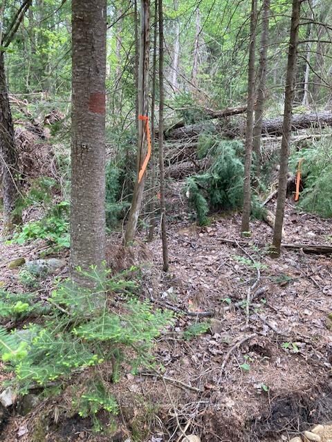 Property Photo:  Lot 28 Concession 11 N/A  ON P0A 1H0 