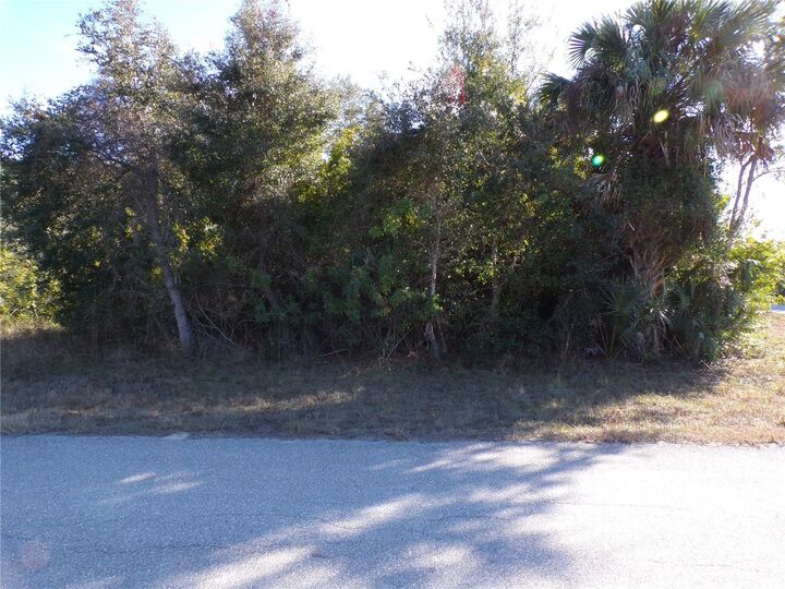 Property Photo:  20019 Arnold Avenue  FL 33954 