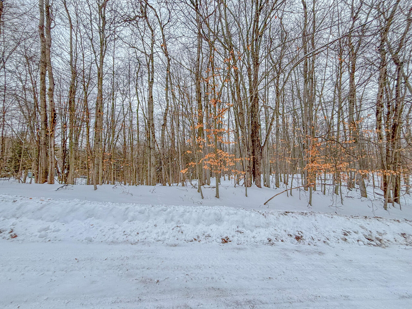 Property Photo:  12329 Wagon Wheel Trail  MI 49346 