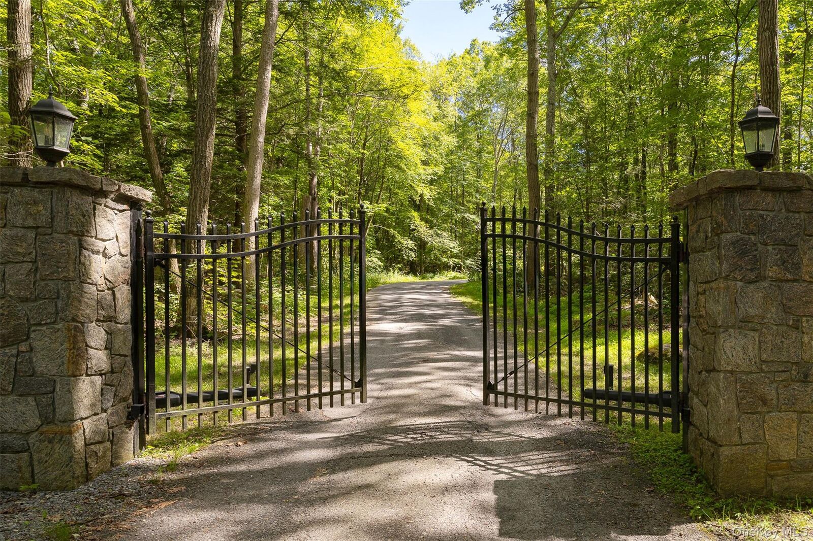 Property Photo:  3302 Route 55  NY 12564 