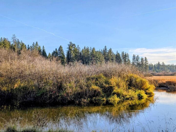 Property Photo: 26310 N River Estates Dr WA 99003