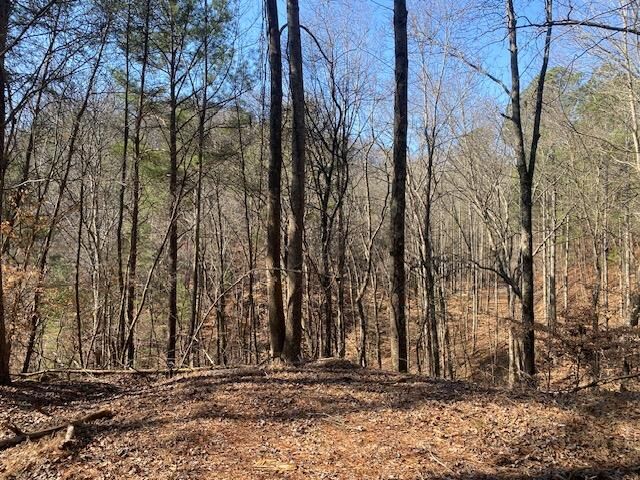 Property Photo:  571-572 Galaxy Way  GA 30734 