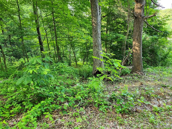 Property Photo: 106 Upland Drive NY 10524