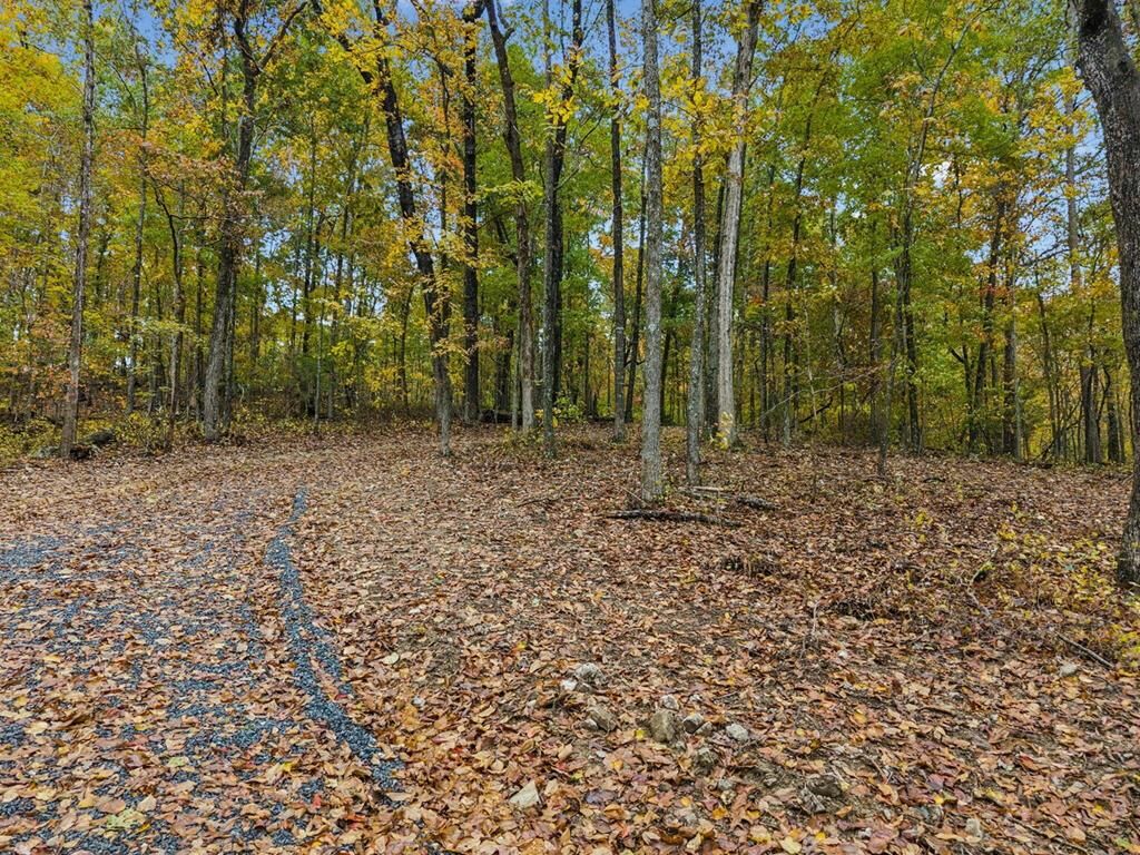 Property Photo:  0 Quarles Road  GA 30740 