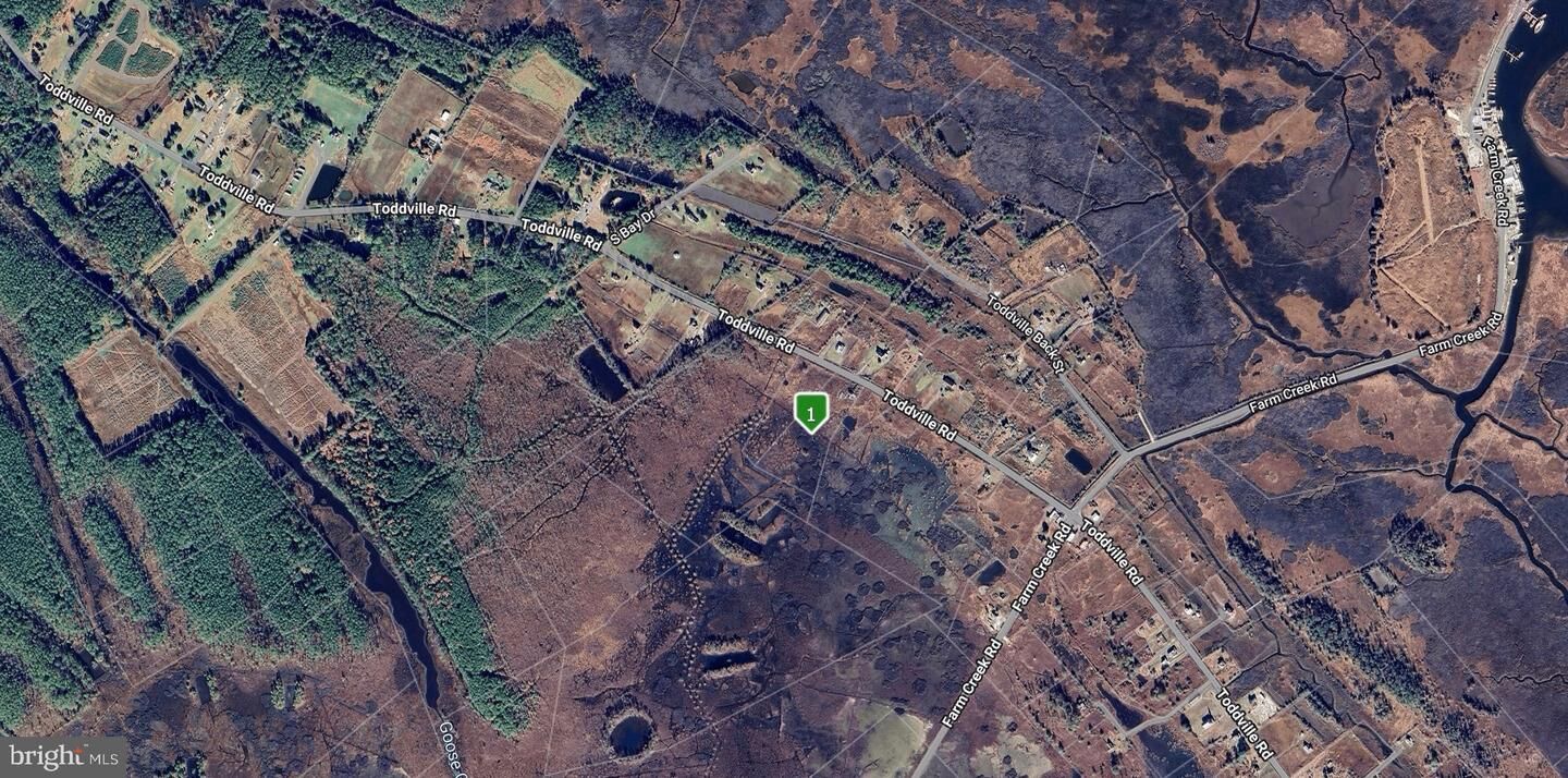 Property Photo:  2625 Toddville Road  MD 21672 