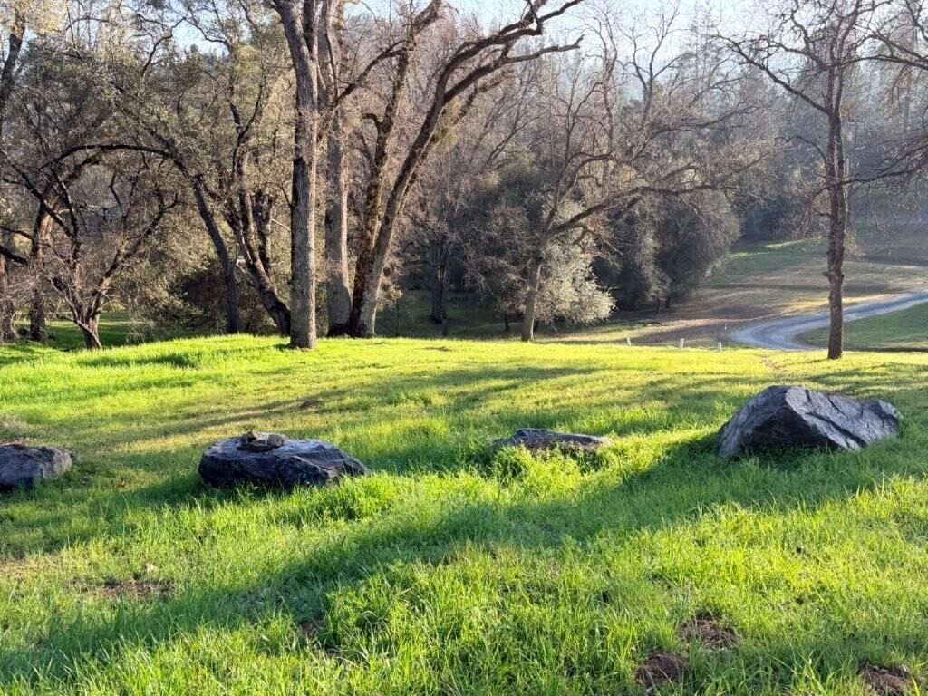 Property Photo:  19691 Ferretti Rd  CA 95321 