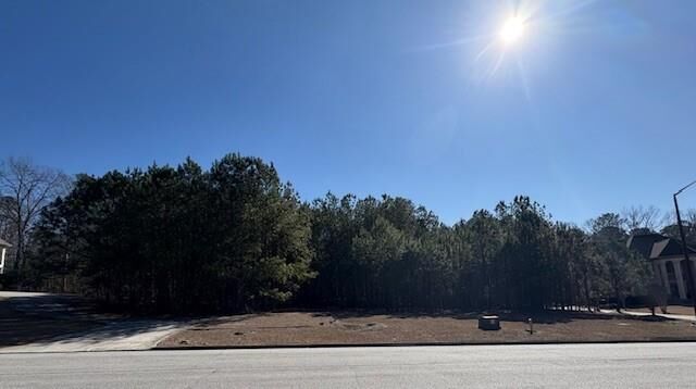 Property Photo:  4357 Blue Ridge Drive  GA 30135 