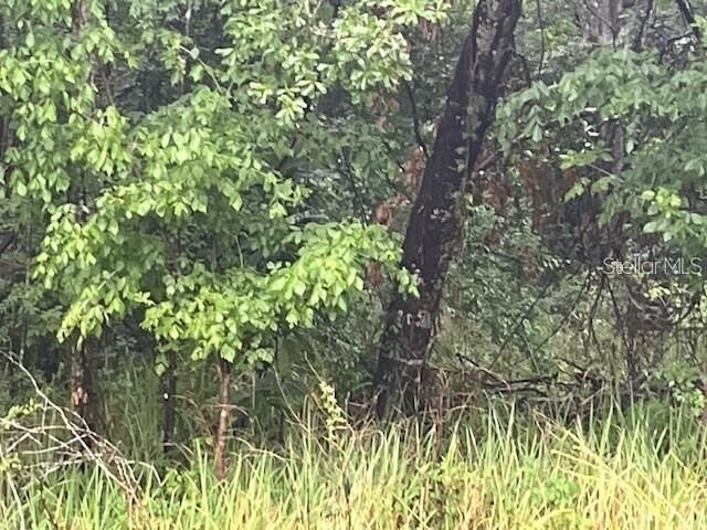 Property Photo:  Sharon Street  FL 34601 