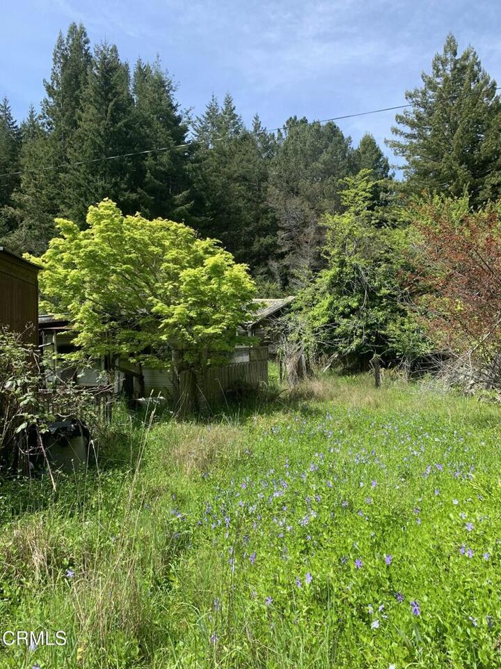 Property Photo:  23501 Branscomb Road  CA 95488 