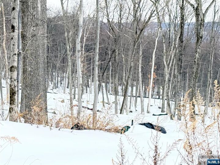 Property Photo: 10 Bristol Ridge Road NJ 07005