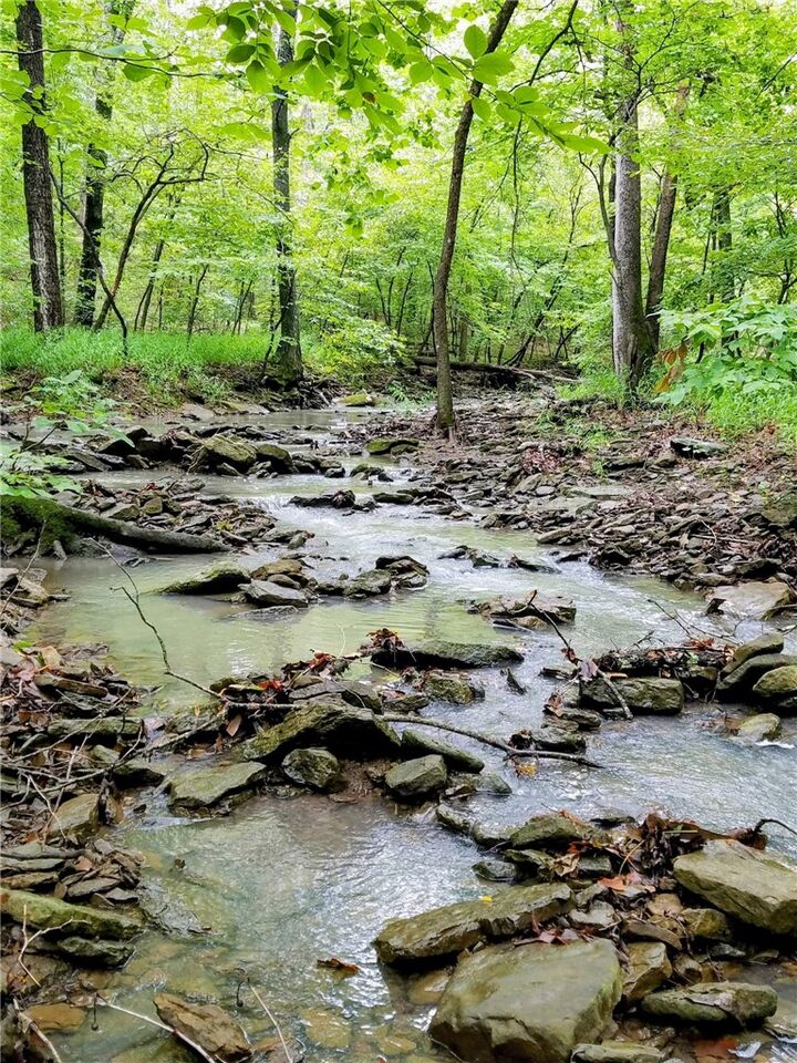 Property Photo:  16902 Bethlehem Road  AR 72959 