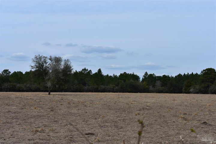 Property Photo: 0000 Pat Brown Rd FL 32570