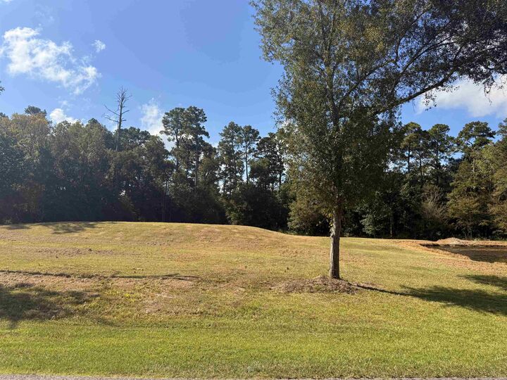 Property Photo:  1301 Lakeview  TX 77659 