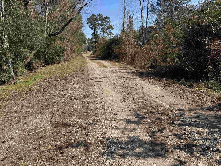 Property Photo:  17440 Hammons  TX 77519 