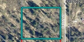 Property Photo:  L7 B1 Frost Street  AK 99635 