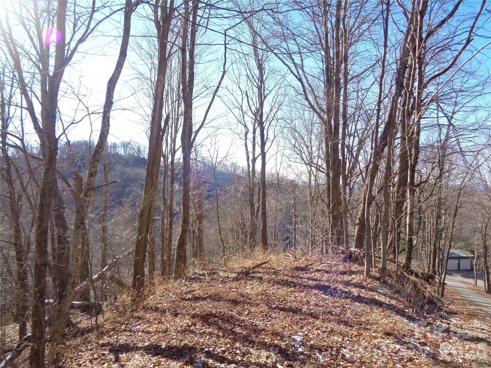 Property Photo:  000 Listening Cove 42  NC 28721 