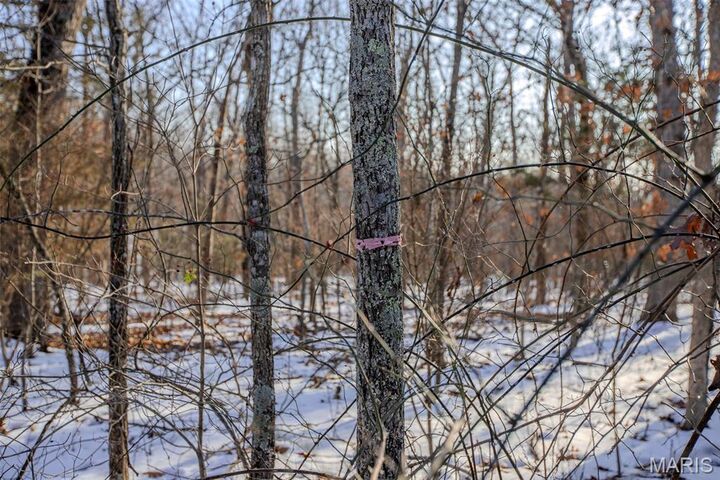 Property Photo:  173 Hickory Drive  MO 65453 