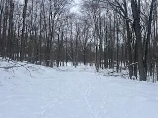 Property Photo:  9980 Red Deer Court  MI 49346 