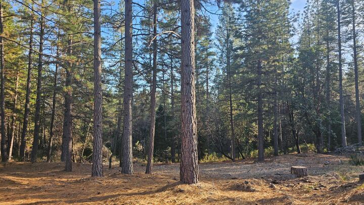 Property Photo:  2801 Harkness Street  CA 95634 