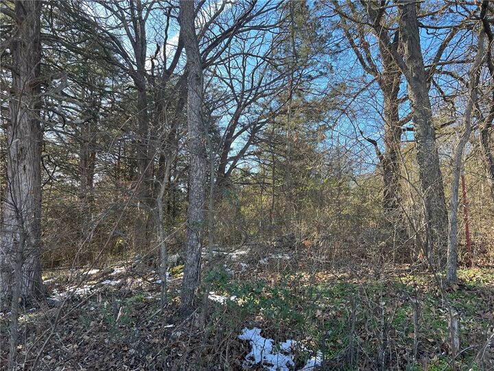 Property Photo:  Tbd Lake View Street  AR 72644 