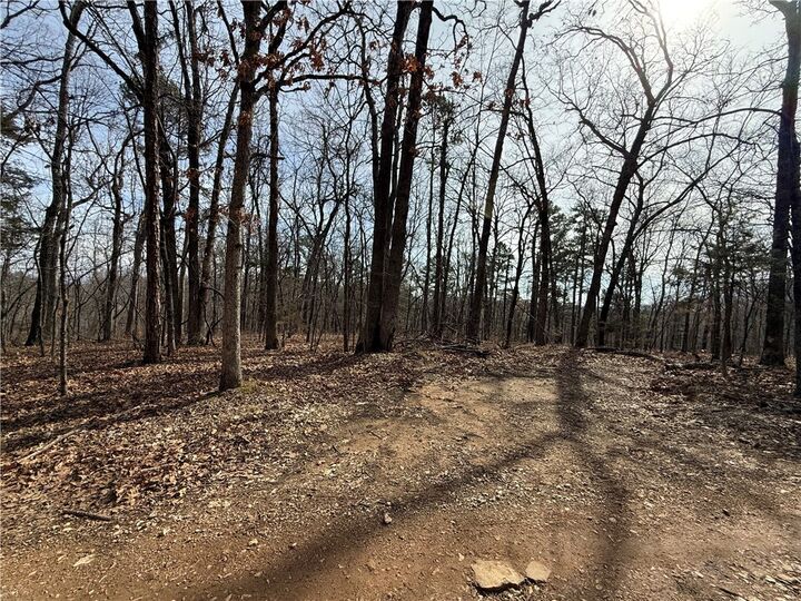 Property Photo:  Tract 2 & 3 Cardinal Ridge Road  AR 72632 