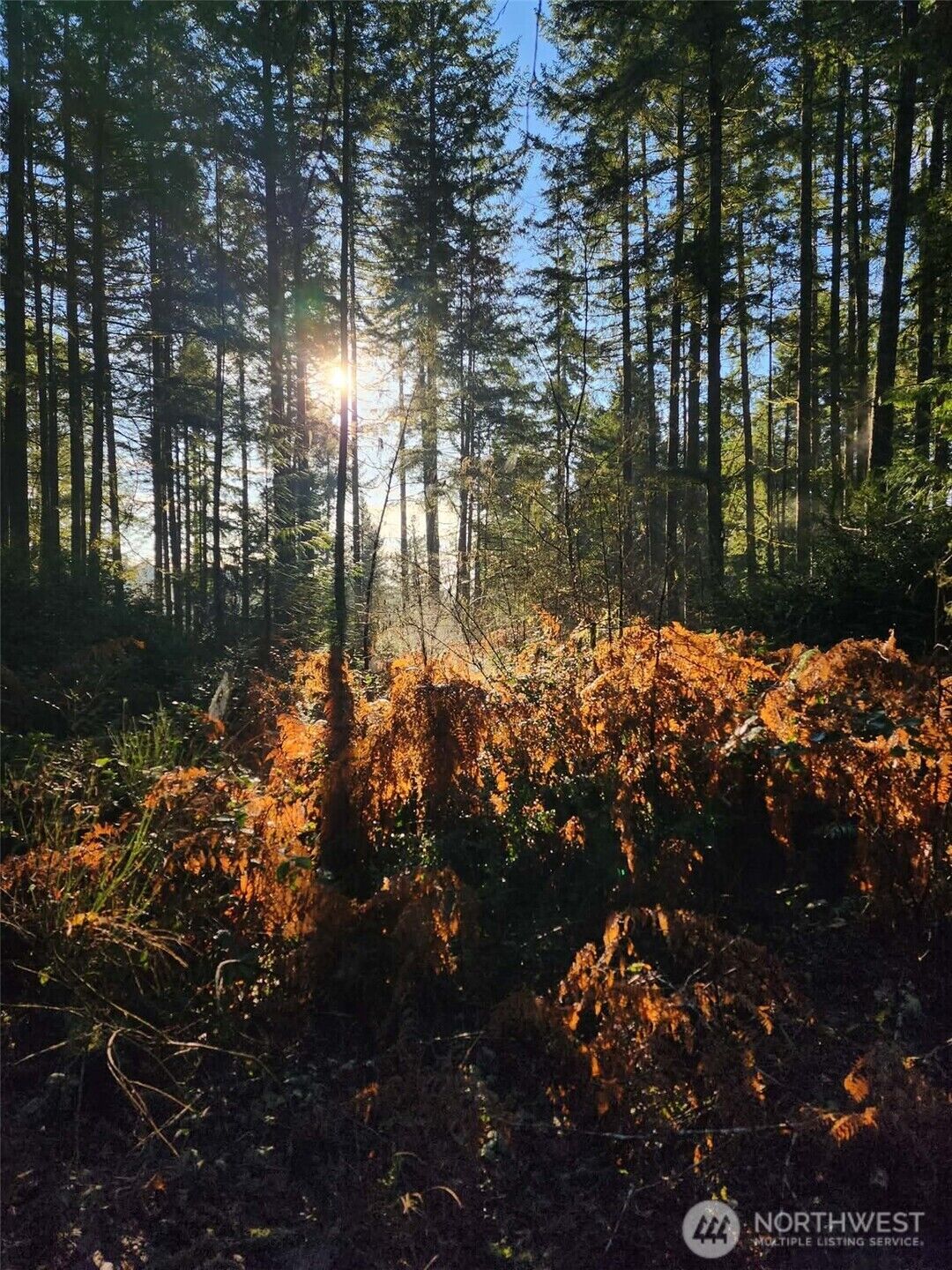 Property Photo:  91 E Tepee Lane  WA 98528 