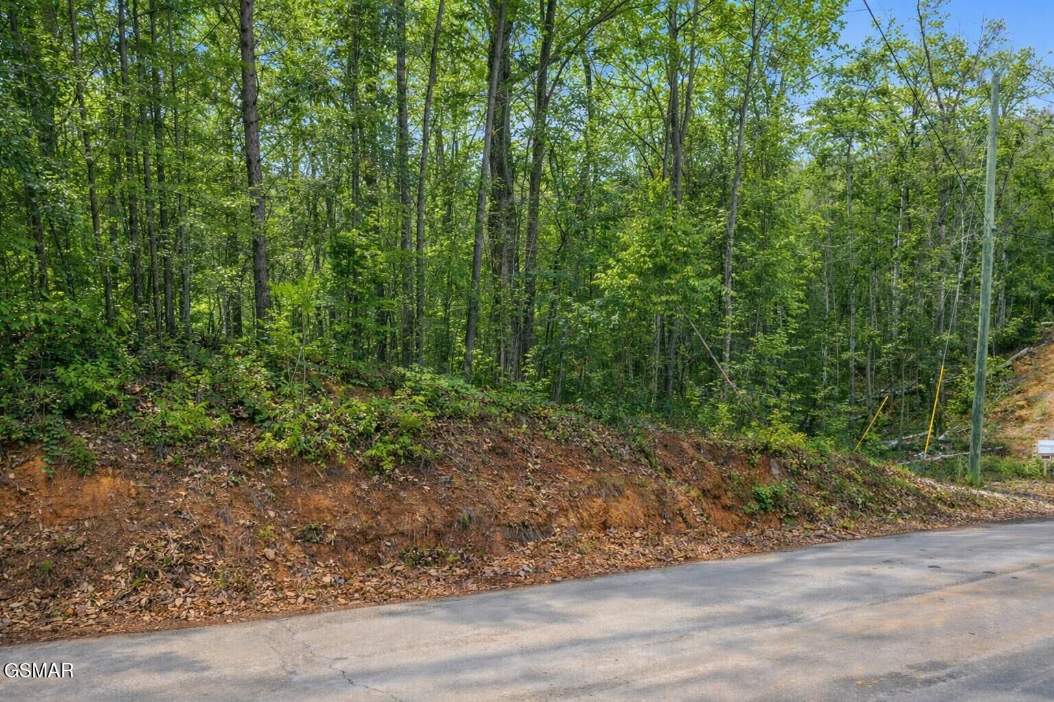 Property Photo:  62 Pinnacle Vista Road  TN 37738 