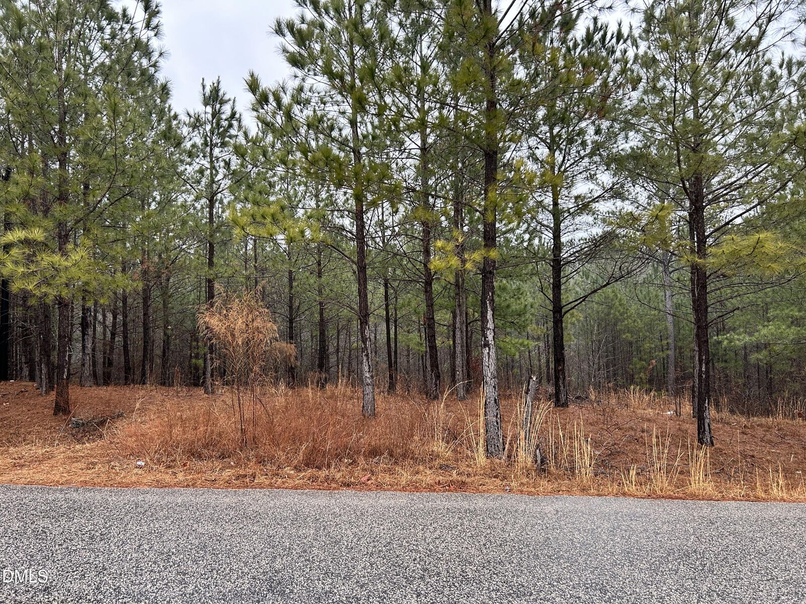 Property Photo: 195 Appleton Way NC 27332