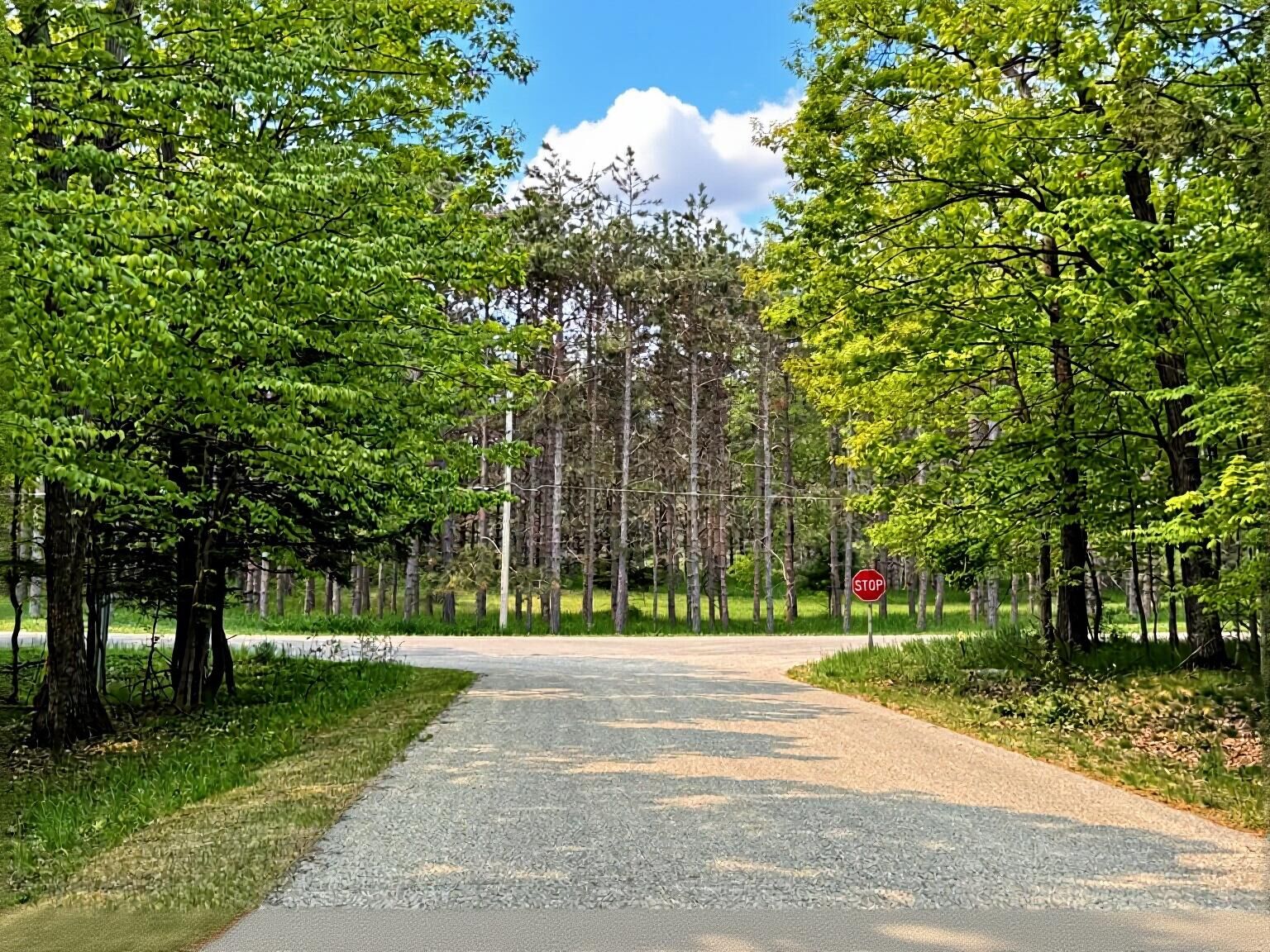 Property Photo: 5945 Lodgepole Road MI 49740