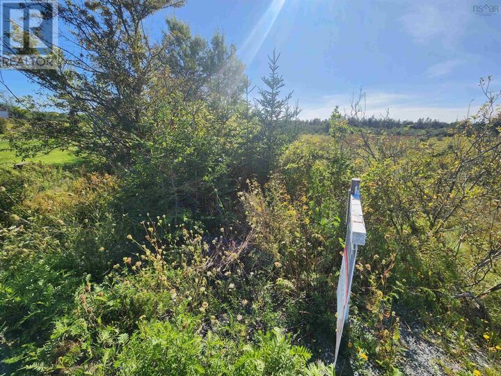 Property Photo:  22 Acre 215 Highway  NS B0N 1T0 