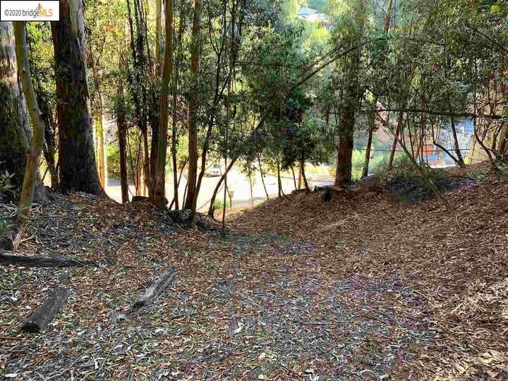 Property Photo:  6698 Moore Dr  CA 94611 