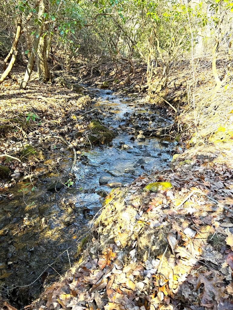 Property Photo: 23 Surrey Trail NC 28906