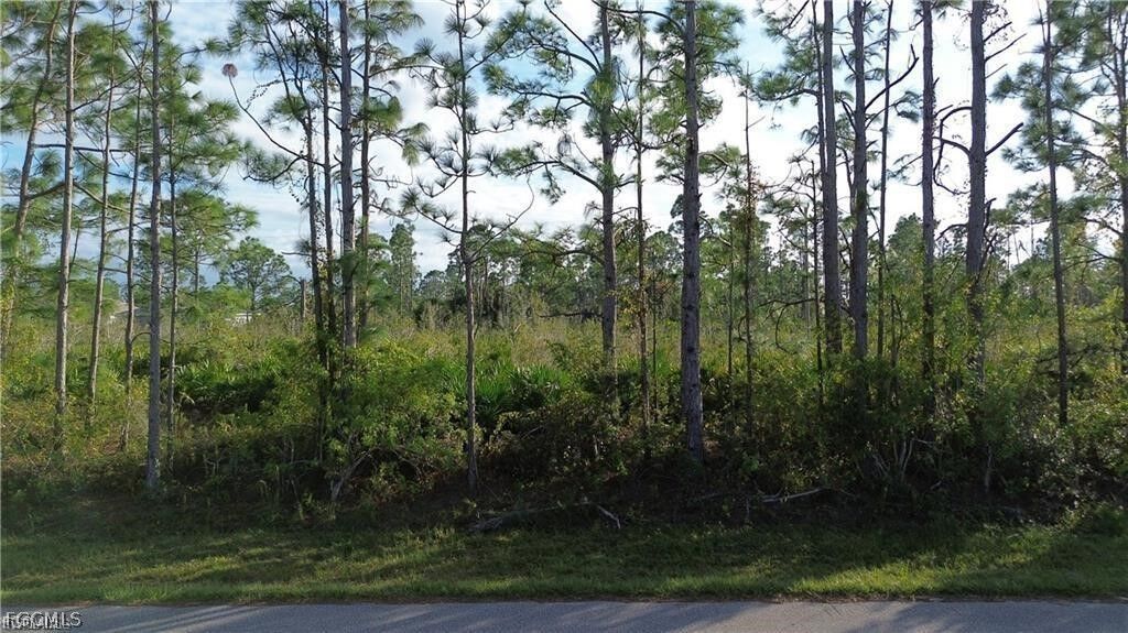 Property Photo: 12157 Terkelsen Avenue FL 33981