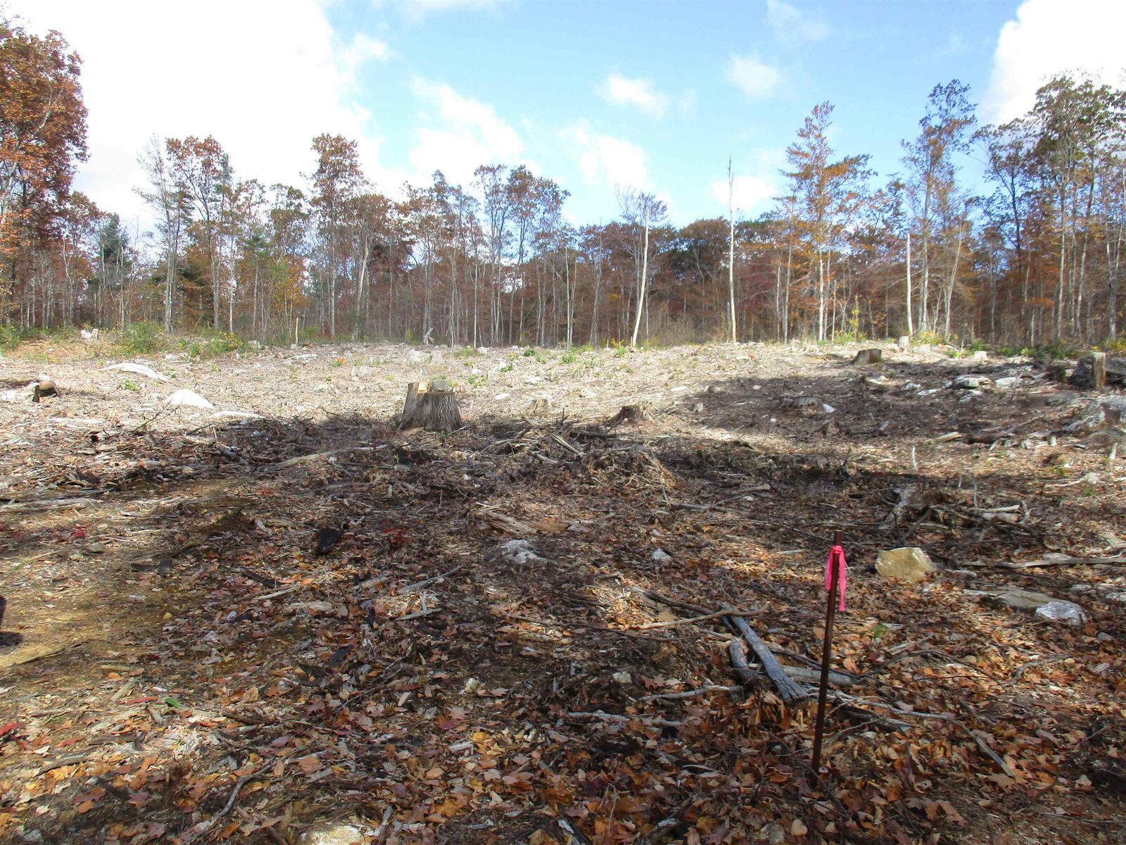 Property Photo:  1-65-C Barrett Road  NH 03048 